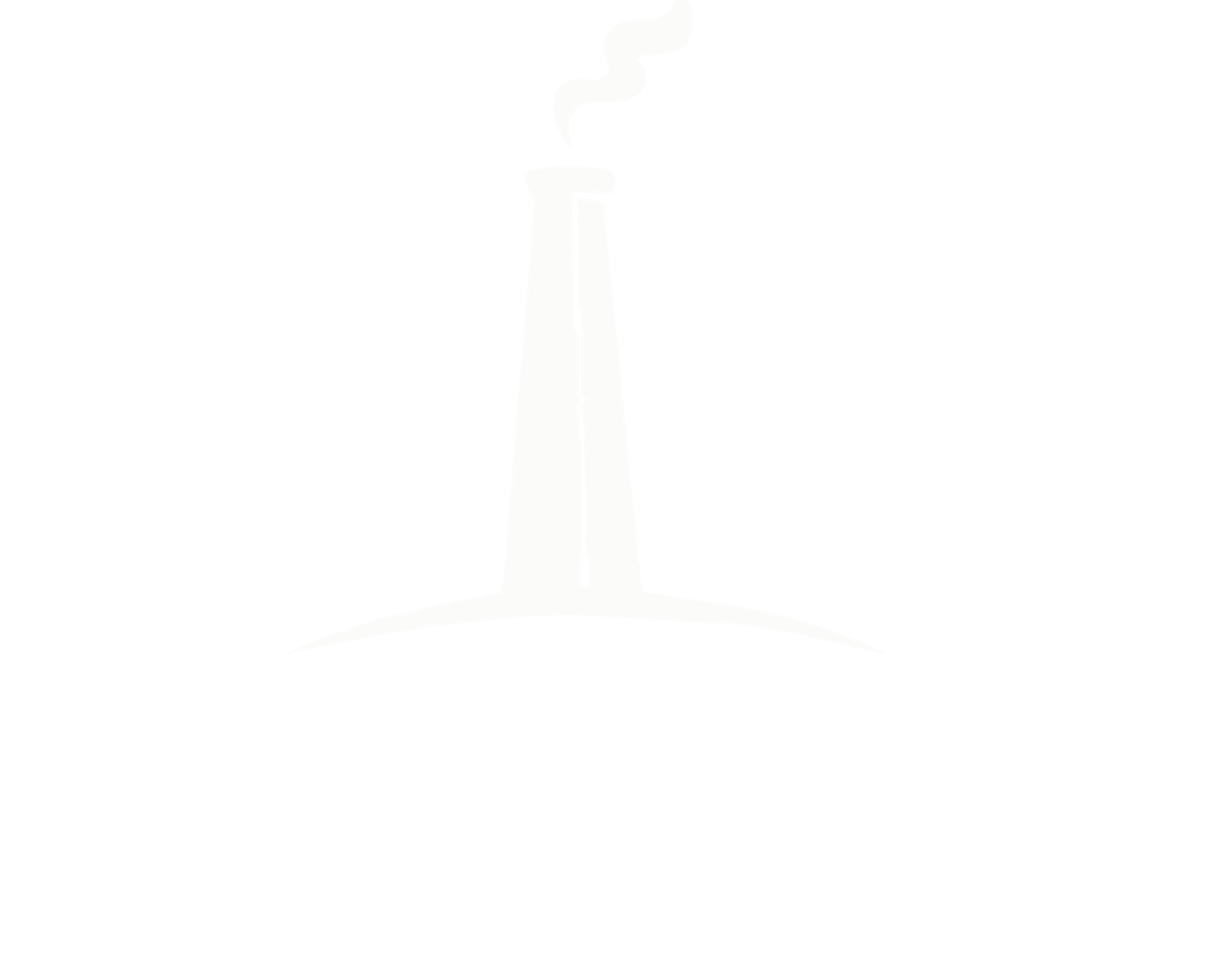 chaudhary logo